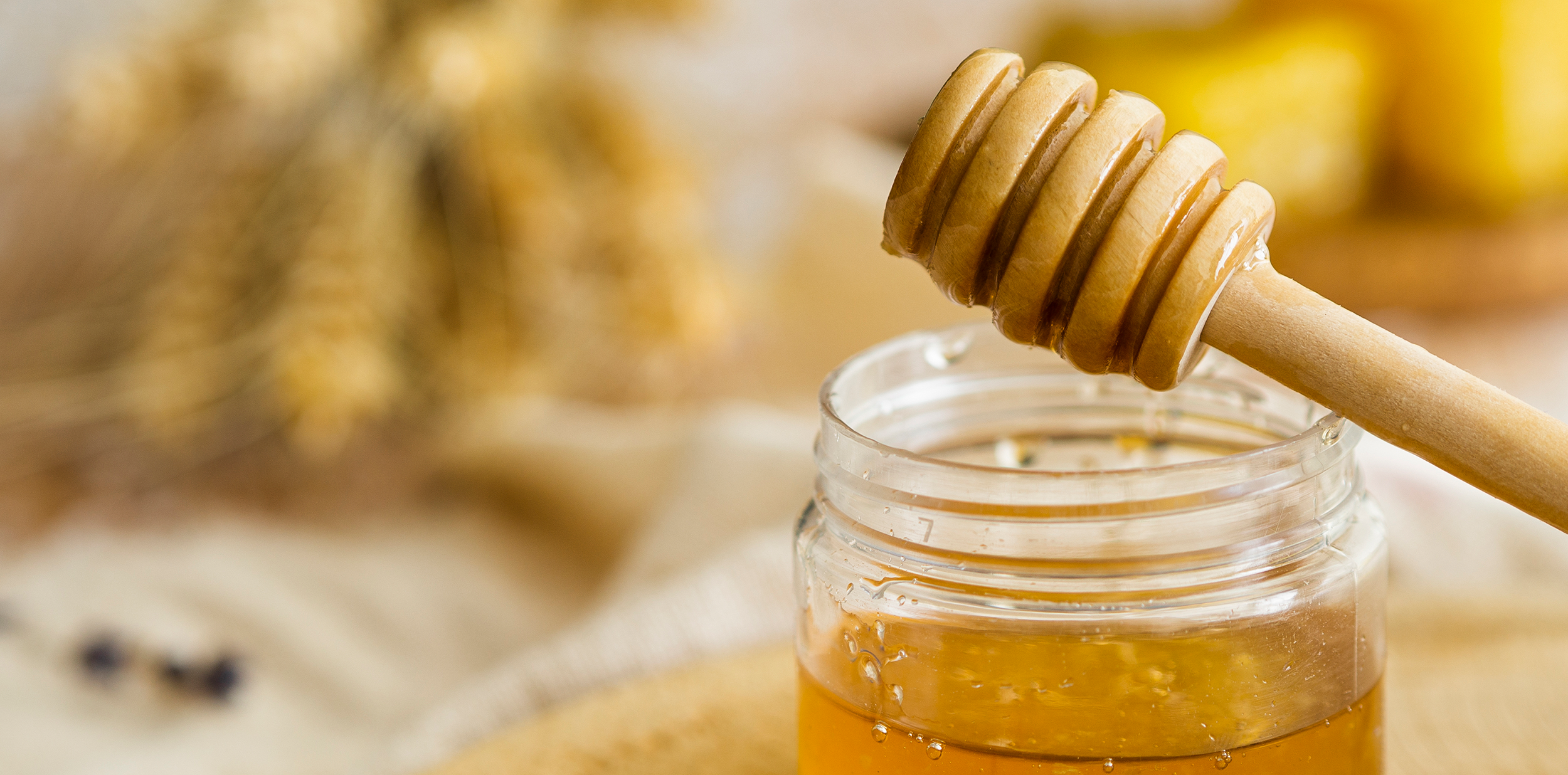 le api di demetra miele biologico